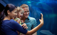Family capturing a memory on their mobile phone